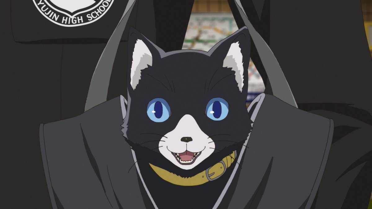 モルガナ_ペルソナ広報 on X: モルガナ_ペルソナ広報 on X: