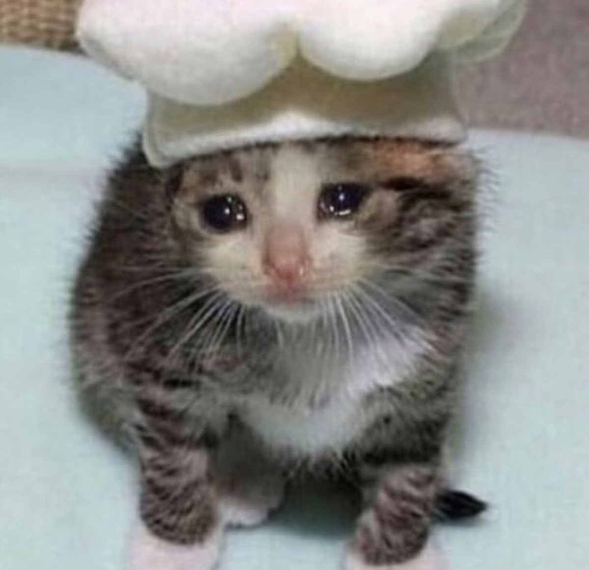 // 

⠀   ⠀ ⠀it's been so long since i've been on this acc . . 

⠀   ⠀