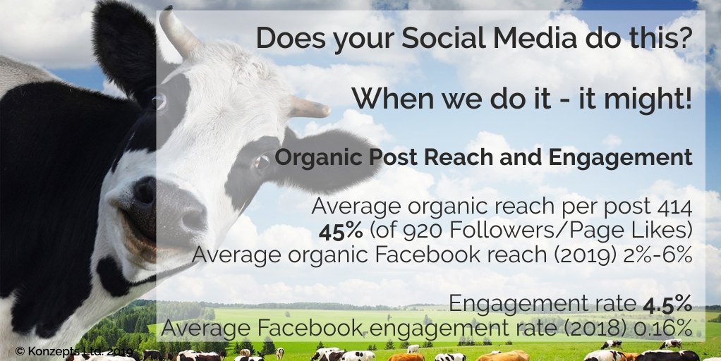 Sue @ Konzepts 🐄 tweet media
