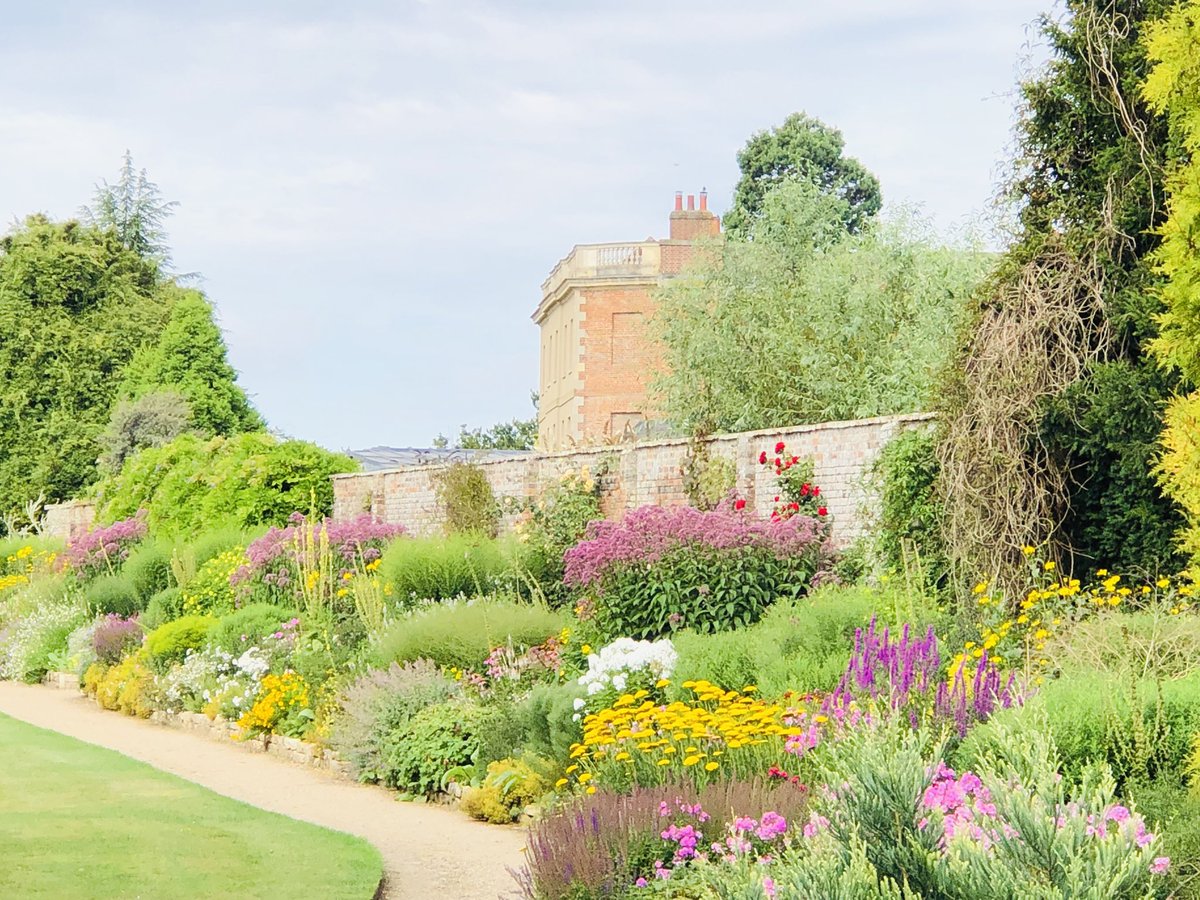 pat havers tweet media