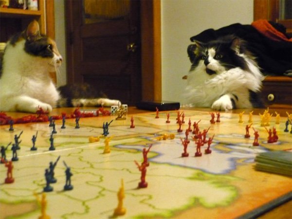 Chipa_Games's tweet photo. En un día como hoy los gatos dominarán el mundo🌍⚔️... aunque solo sea en juegos de mesa🎲

#DiaDelGato #DiaInternacionalDelGato #InternationalCatDay  #Risk #JuegosDeMesa #boardgames #boardgamegeek #gatos #gato #CatDay #Cat #KittenArmy https://t.co/Ru8GJYbXBk