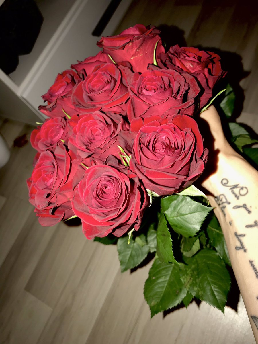 Kristyn7777's tweet photo. 🌹❤️ https://t.co/fSNboXakvI