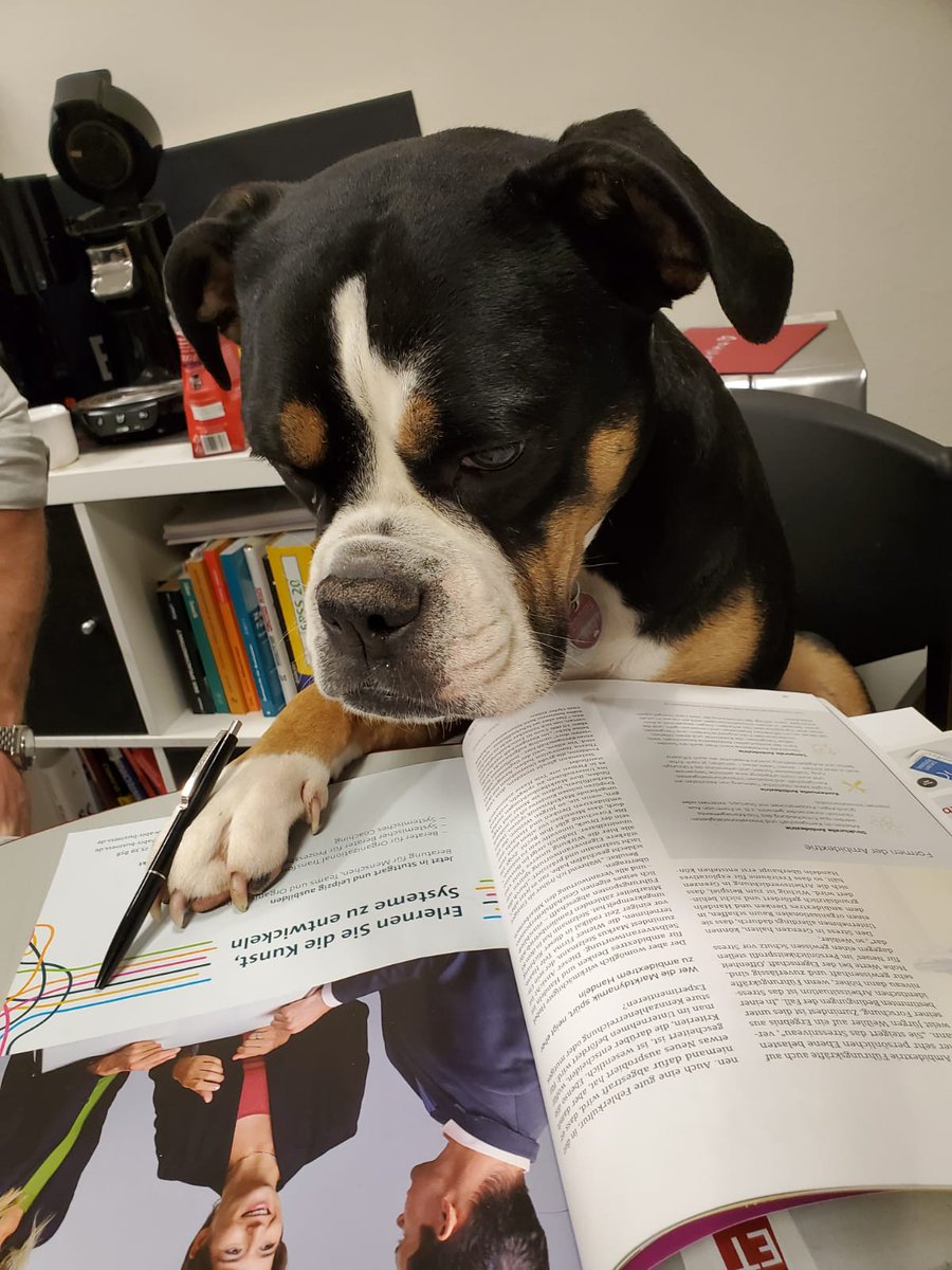 Christ_ian_O's tweet photo. Fokus 🤓
#focus #officedog #work #learning #Motivation #Evalea #Frankfurt #weiterbildung @EvaleaGmbh https://t.co/YDDpUHOv9R