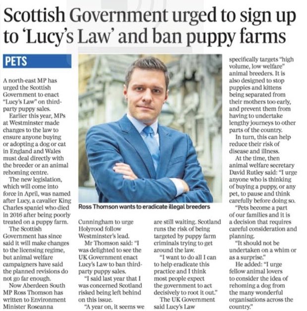 🐶 I have warned that Scotland will be left behind on tackling puppy farms without #LucysLaw.

A year on, we are still waiting for action. Scotland runs the risk of being the puppy smuggling capital of the UK targeted by criminals trying to get around the law. #LucysLaw4Scotland