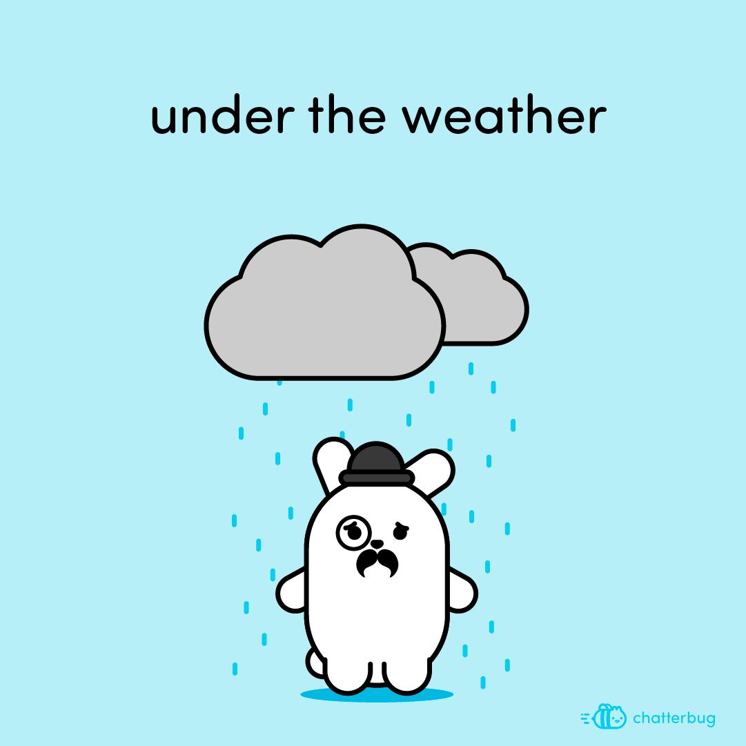 chatterbug_es tweet picture