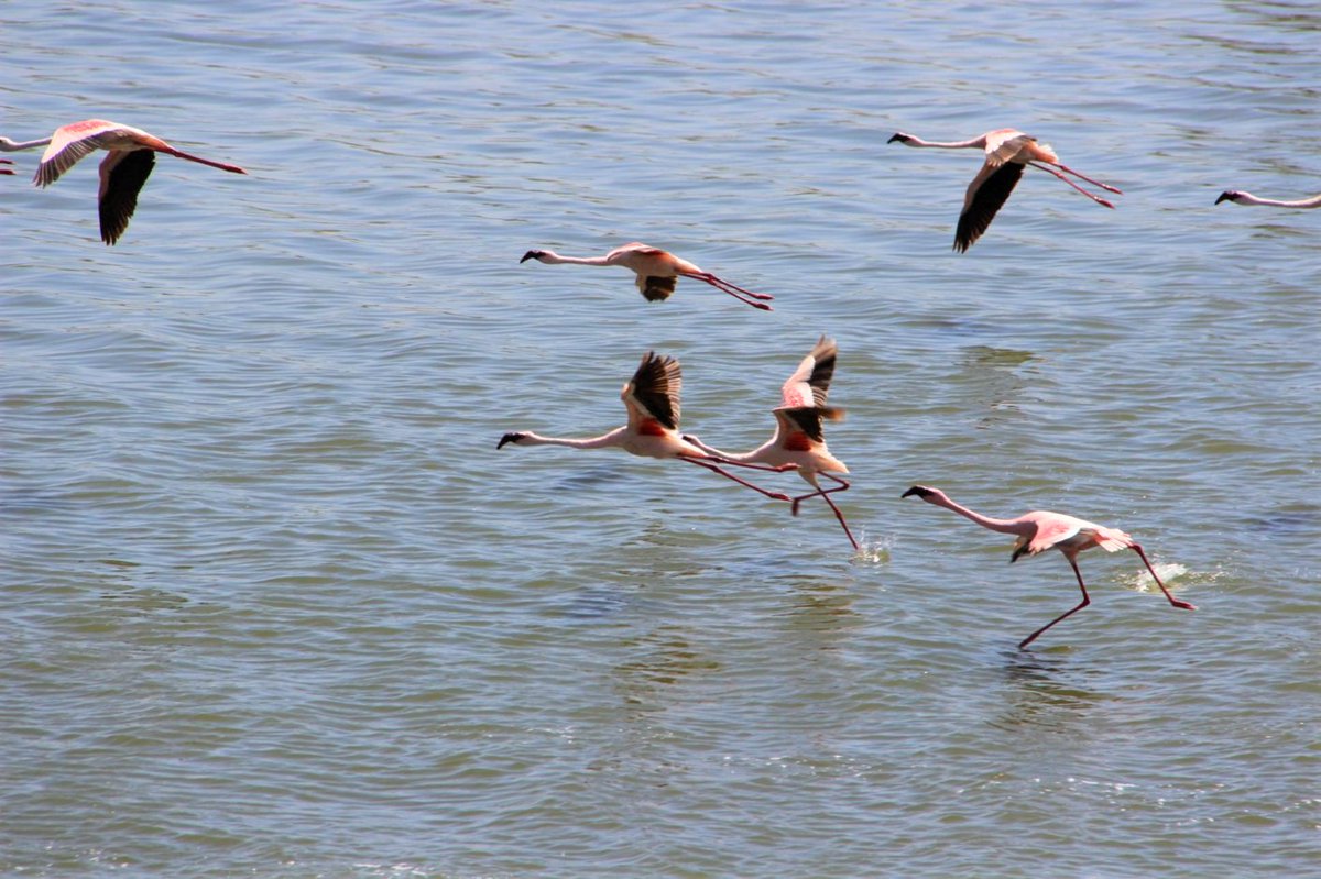 オルドバイ渓谷