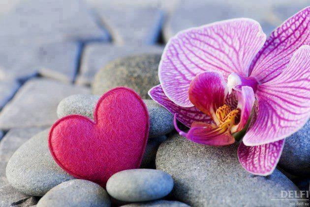 matusivancik22's tweet photo. @smilemai https://t.co/RXpBiWIJ7e