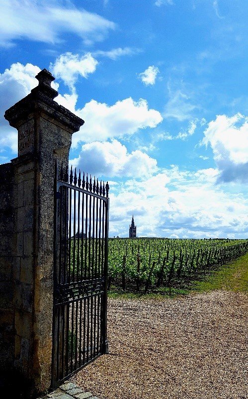 ATBerlines's tweet photo. Atlantique Berlines vous transporte dans l’univers du #vin et des célèbres #châteaux #bordelais. À bord de nos véhicules luxueux, vous serez accueillis par des professionnels qui ont à cœur de partager leur passion !
         
Contactez notre équipe à l’adresse : info@atlb.fr 👨‍💻 https://t.co/HQXaIVUnni