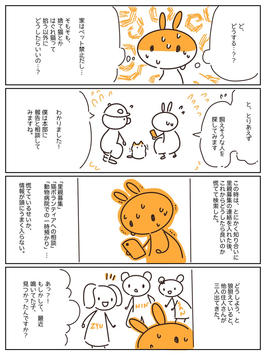 #世界猫の日 によせて「子猫を拾えなかった話」(再掲) 