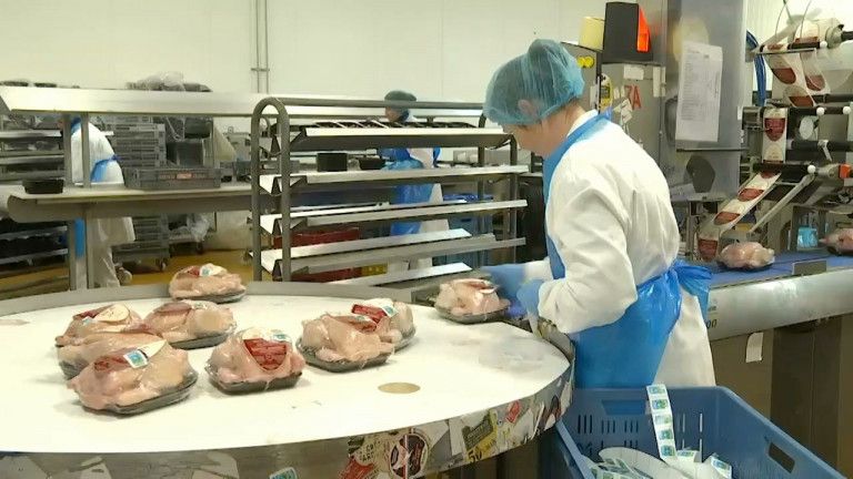 . <a href="/Upignac/">Upignac</a> rachète l'entreprise de notre exposant historique Ardenne volaille🦃🐓🦆
buff.ly/2MJH88x
#foiegras #ardennevolaille #Upignac #foodindustry