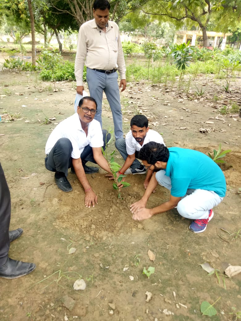StarAgriGroup's tweet photo. Star Van Utsav Update : Plantation drive by our team at Alipur in Delhi.

#VanMahotsav #SaveTrees #StarAgri #StarVanUtsav2019 #letsplantthefuture https://t.co/SHI2C8OW6X