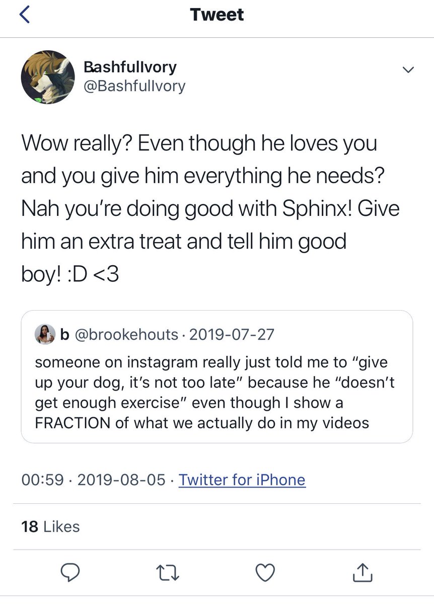 RayneGoode's tweet photo. Finding so many similarities between the #brookhout situation and #taylornicoledean . For example: tnd’s fans say this same shit despite the absurd amount of animal deaths/unexplained disappearances/ drug addiction. I’m sick of teeny boppers who think bare minimum is celebratory https://t.co/5n4vTZ4rno