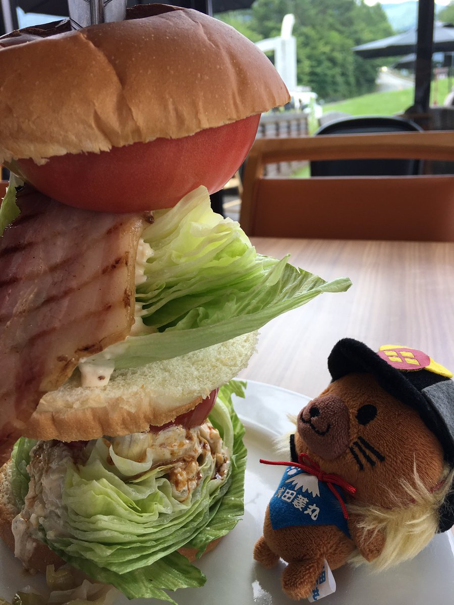 bijinzukanJP's tweet photo. And this is the largest burger I have ever had.. The monster burger at Kiyosato Makiba (meadow) park.
#yamanashikankou #hishimaru https://t.co/pX1GAla796