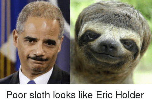 HenryJennings's tweet photo. But I think sloths are cool. #AubreyMaturin https://t.co/jckuolHZS5
