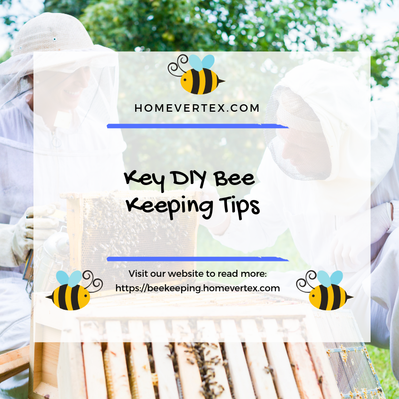 homevertex's tweet photo. Key DIY Bee Keeping Tips

Visit our website to read more info on DIY Bee keeping:
https://t.co/0O89RxIBwR

#homevertex #beekeeping #DIY https://t.co/RYkmgA3CNj