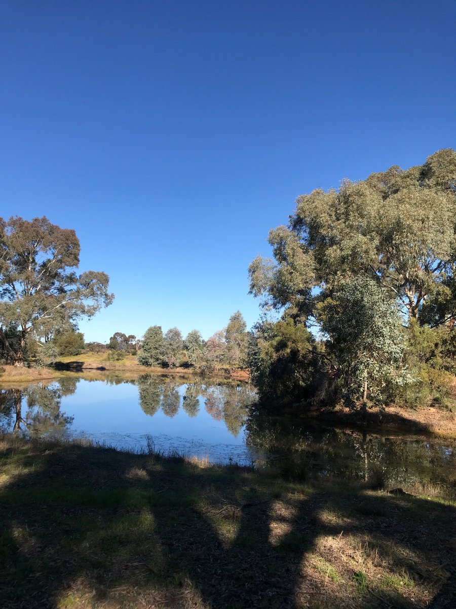 g_eorgiebrown's tweet photo. a week since i was back home grounding on country. paying my respect daily to wiradjuri mob who welcomed and guided me- refuelling my soul. feeling super settled and @ peace since returning from down south and im incredibly grateful for the ancestoral spirit i felt so strongly. https://t.co/WXL7ewpvYn