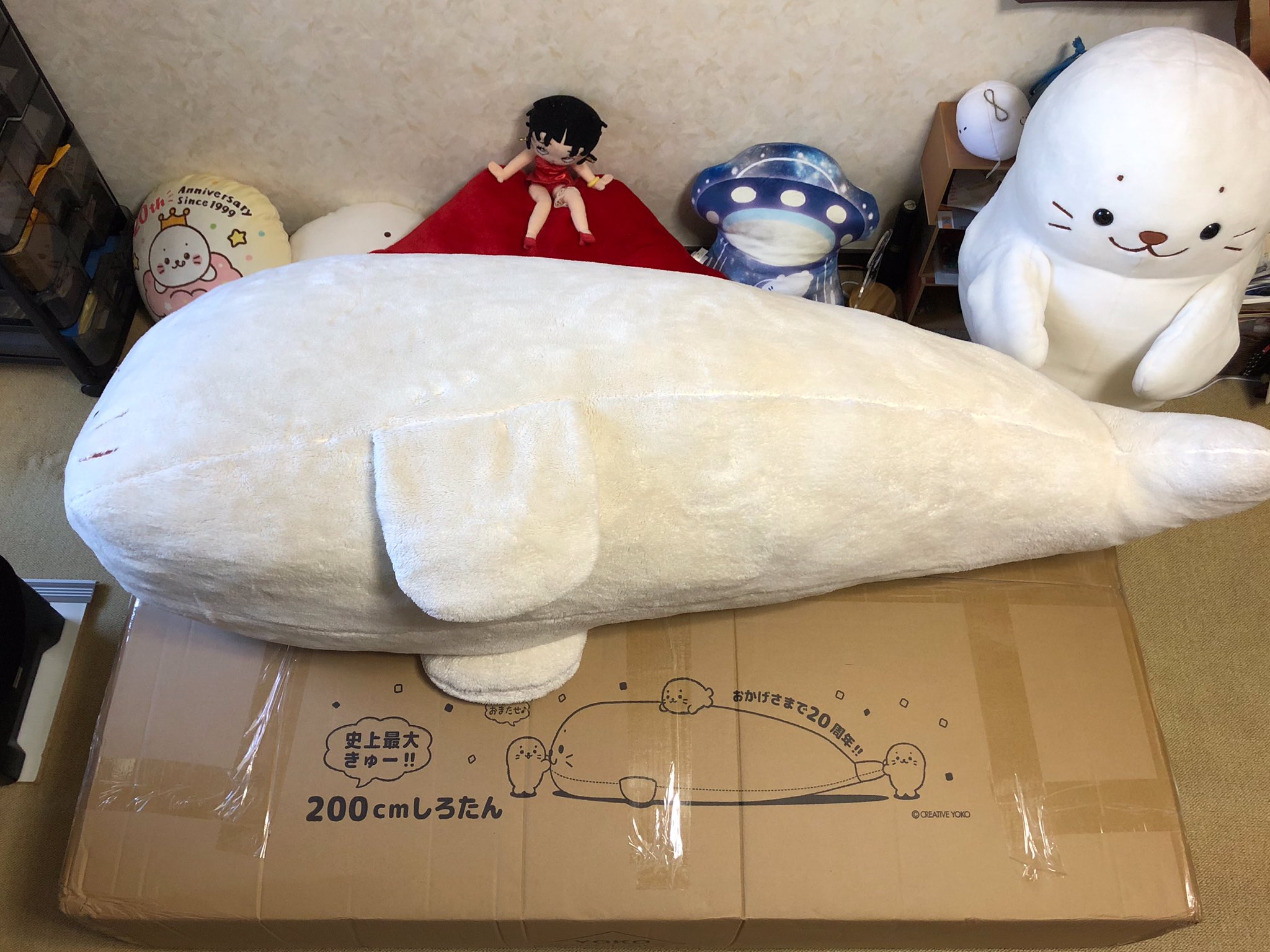 しろたん　200センチ！ 20周年記念 しろたん 200センチ！ 20周年記念