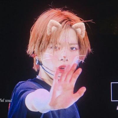 tiantianyuu's tweet photo. International cat day means international YUTA day 💕💕
Baby Kitty you're the cutest nicest most beautiful pretty lovable kitten ever 💕💕💕 we love you so so much baby deserve all the love #Kittyzen #Kittylove #YUTA #YUTAPRETTY https://t.co/uHk6OkYhtC