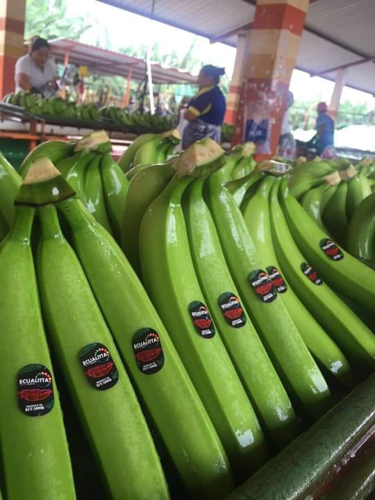 Bazargan Gümrükleme ithalat ve ihracat
Yeşil Muz Uzmanı İthalatı
Ofis Adresi:İran_Maku Serbest Bölge_Bazargan Sitesi Araz2. Kat Ünitesi4
WhatsApp:00989146013129
#trading_company_pishevar
#ithalat #ihracat #gumrukleme #bazargan #export #import #turkey #iran #gumruk #banana #muz