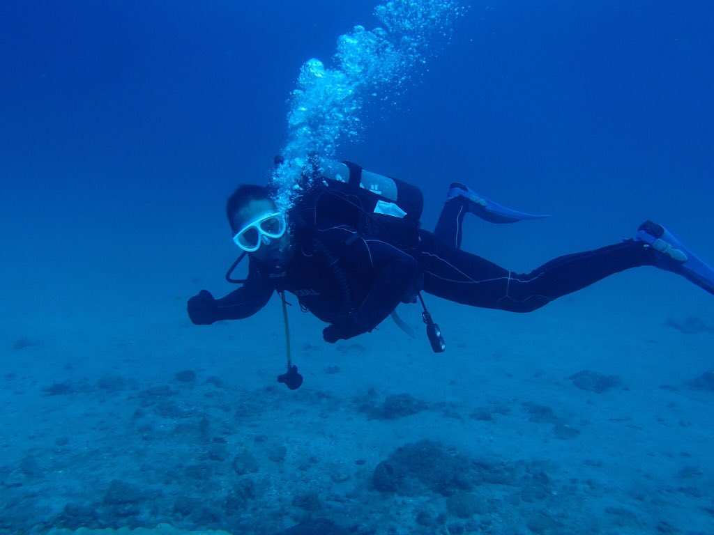のぶさん 昨日のニモ 久しぶりダイビング 友達と2人でファンダイブ 久しぶりに潜るから始め怖かったなー 屋久島 ダイビング Aquastyle アクアスタイル T Co K35dwn04ya Twitter