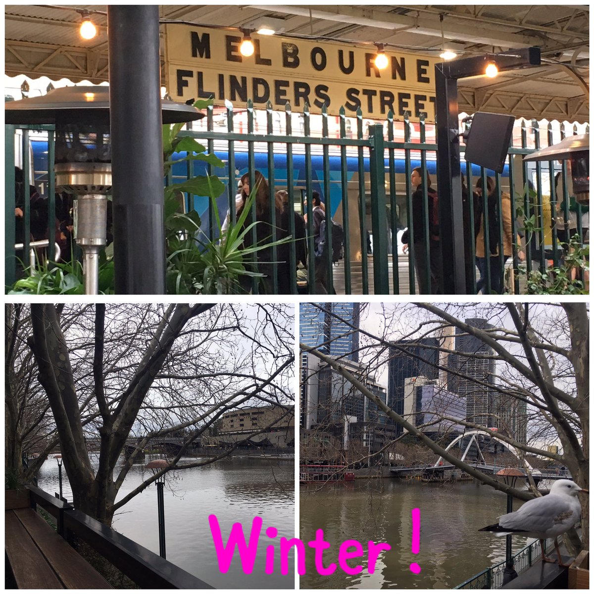 CabSavLane's tweet photo. #winter #Melbourne #Yarra #Beautiful #OnDate https://t.co/9TCBHQIvyi