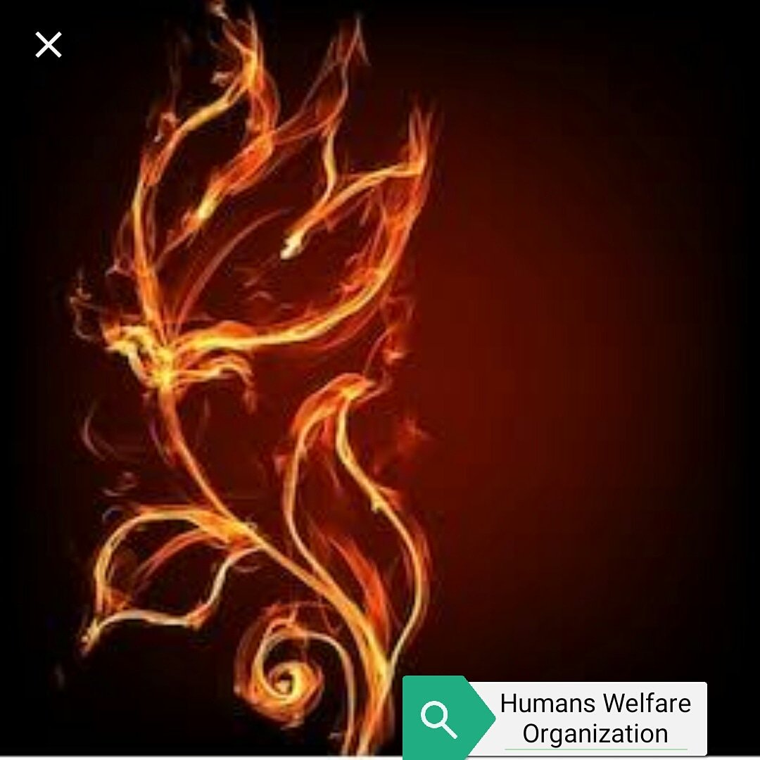 HumansWelfare's tweet image. Fire becomes Flower for those who fight for righteous cause. # Friend of Allah # Soldiers of Allah