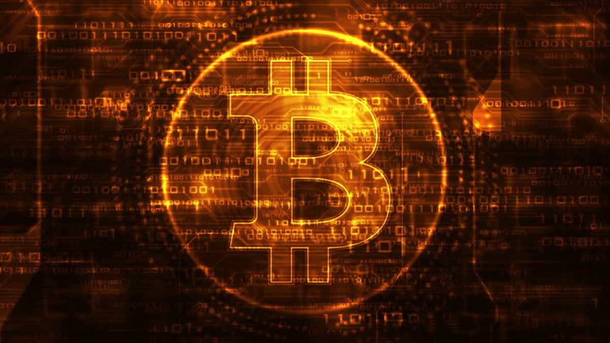 coinadviceorg's tweet photo. Binance Doing Investigations, User Selfies Purportedly Leaked
https://t.co/4bdZyD5XbR https://t.co/XfKxdwg9Ub