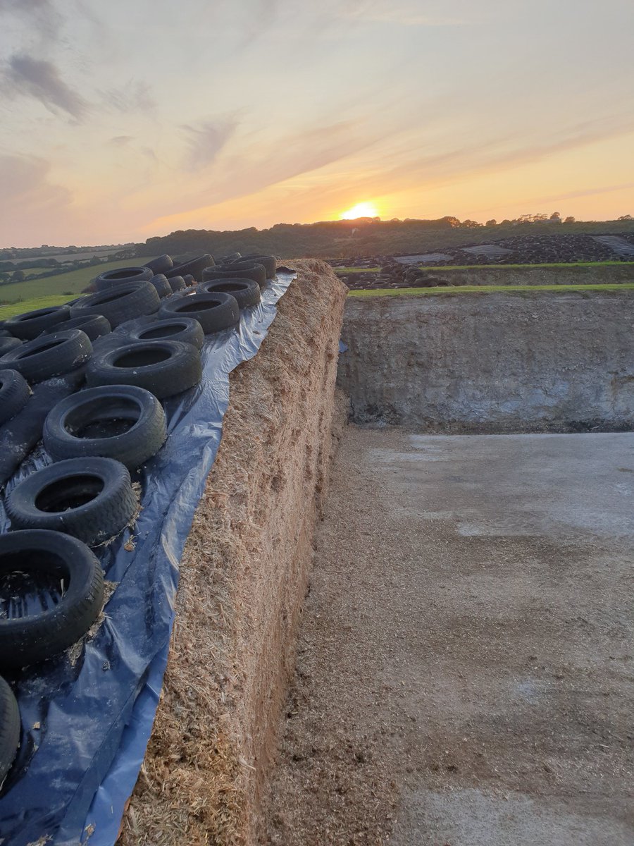 Feedco7's tweet photo. Fine evening open farm at Nansmerrow Farm nr Truro.
Sunsets and serious figures - Look at that performance
There's cream in Cornwall @Roddas_Cream https://t.co/Pnodjqva8u