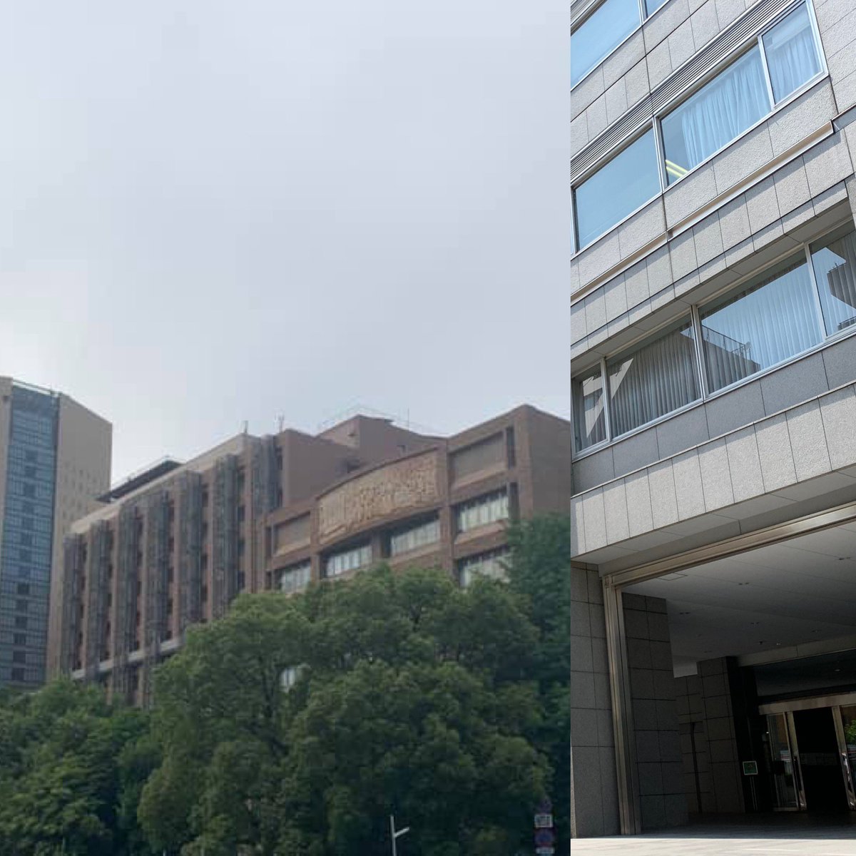 日本歯科大学東京短期大学 日本歯科大学東京短期大学