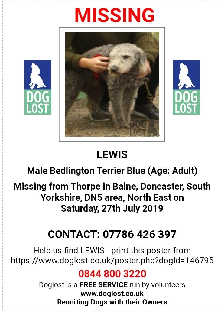 MissingPetsGB's tweet photo. 🐕 LEWIS is a 7yr old male blue Bedlington Terrier, #missing since Saturday 27 July 2019 after escaping the garden at home in Thorpe in #Balne #DN5 #Doncaster
He is microchipped & his details are up to date. If seen or found please call 07786 426 397 asap. https://t.co/HgVZ8Q6HAE