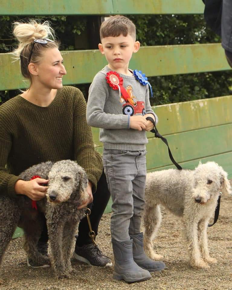 MissingPetsGB's tweet photo. 🐕 LEWIS is a 7yr old male blue Bedlington Terrier, #missing since Saturday 27 July 2019 after escaping the garden at home in Thorpe in #Balne #DN5 #Doncaster
He is microchipped & his details are up to date. If seen or found please call 07786 426 397 asap. https://t.co/HgVZ8Q6HAE
