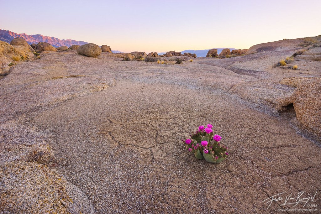 CatalystIpswich's tweet photo. Keys to ESCAPING the desert! https://t.co/zOYaLZqk2v https://t.co/KCsQSAvnc7