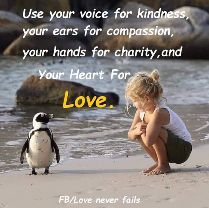 rose_namaste's tweet photo. Humbling and true, it takes seven positives to correct one negative and many more muscles to frown instead of smile #BornToSmile #Positivity #NaturesChild don't be a Negatron be an Optimist Prime #bpd #trauma #abuse I choose the light ⭐ https://t.co/r5tcIDGMr5