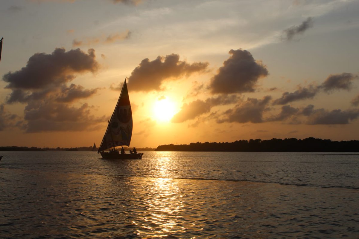 Sylvia Muthoni tweet media