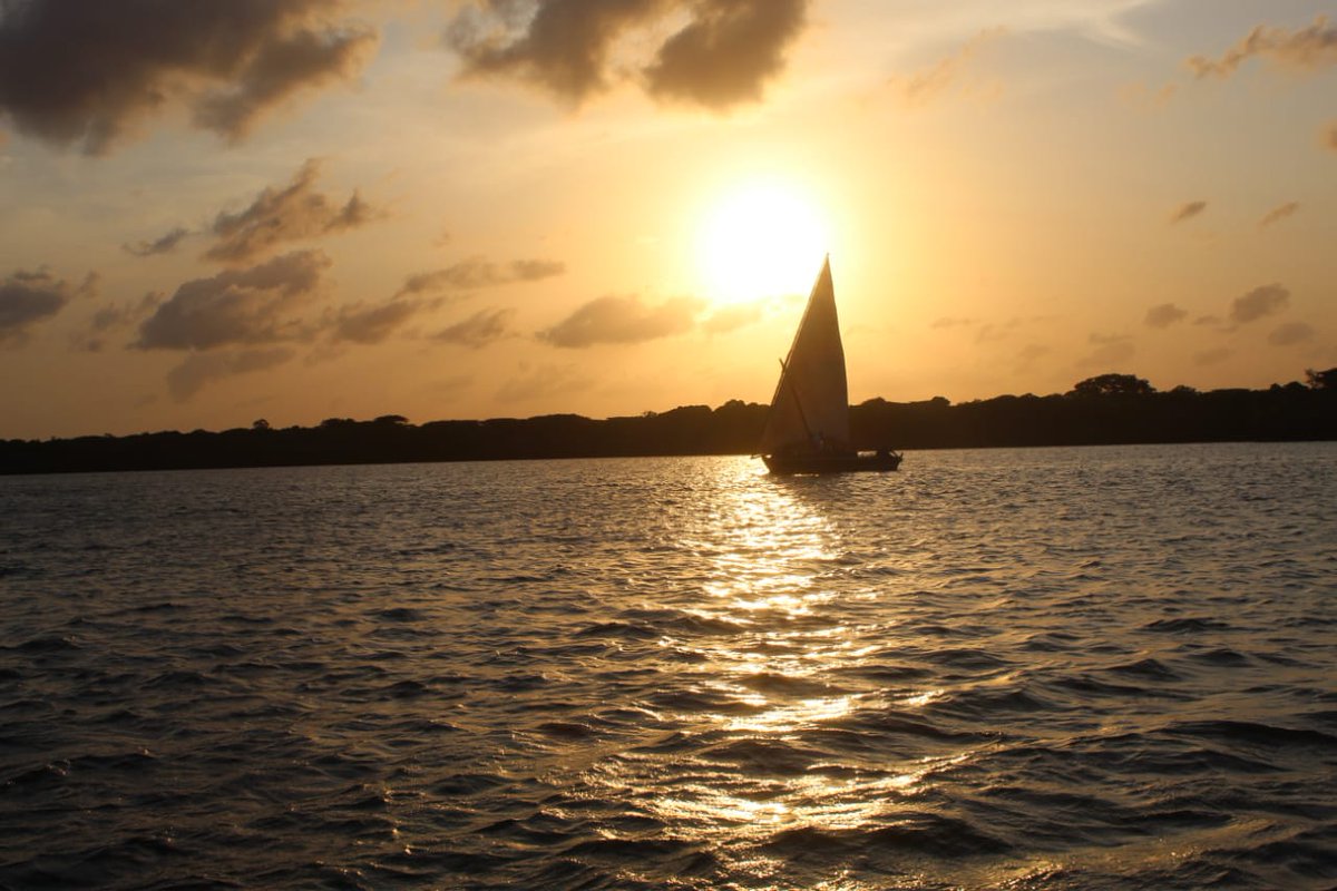 Sylvia Muthoni tweet media