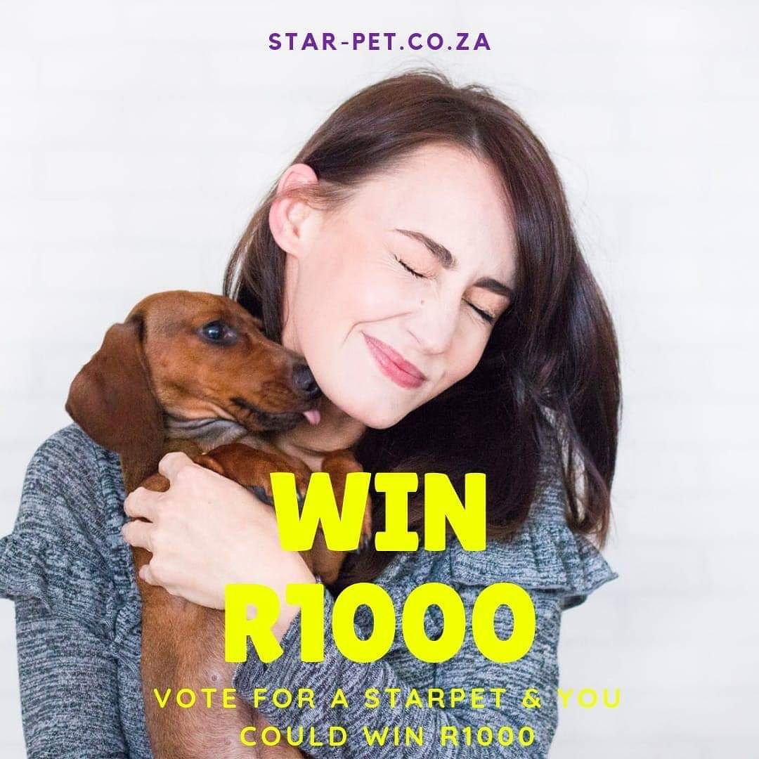 Want some fun while doing good? Visit star-pet.co.za choose your favourite entrant and vote.  30% of all profits of Aug StarPet SA are being donated to CDR.  R1000 voter prize up for grabs for anyone who votes! #starpet #competition #adoptdontshop #CAPEDACHSHUNDRESCUE