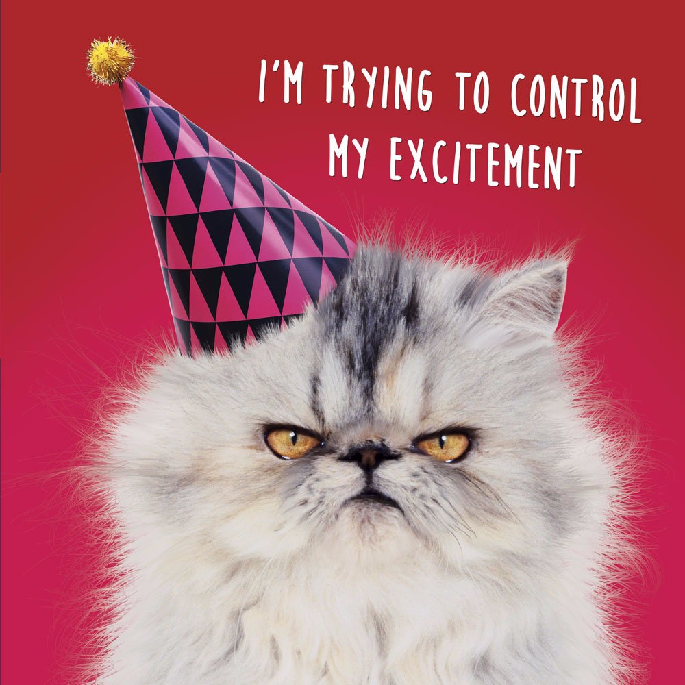Tracks_Ltd's tweet photo. #InternationalCatDay https://t.co/tXuN5NK5OE