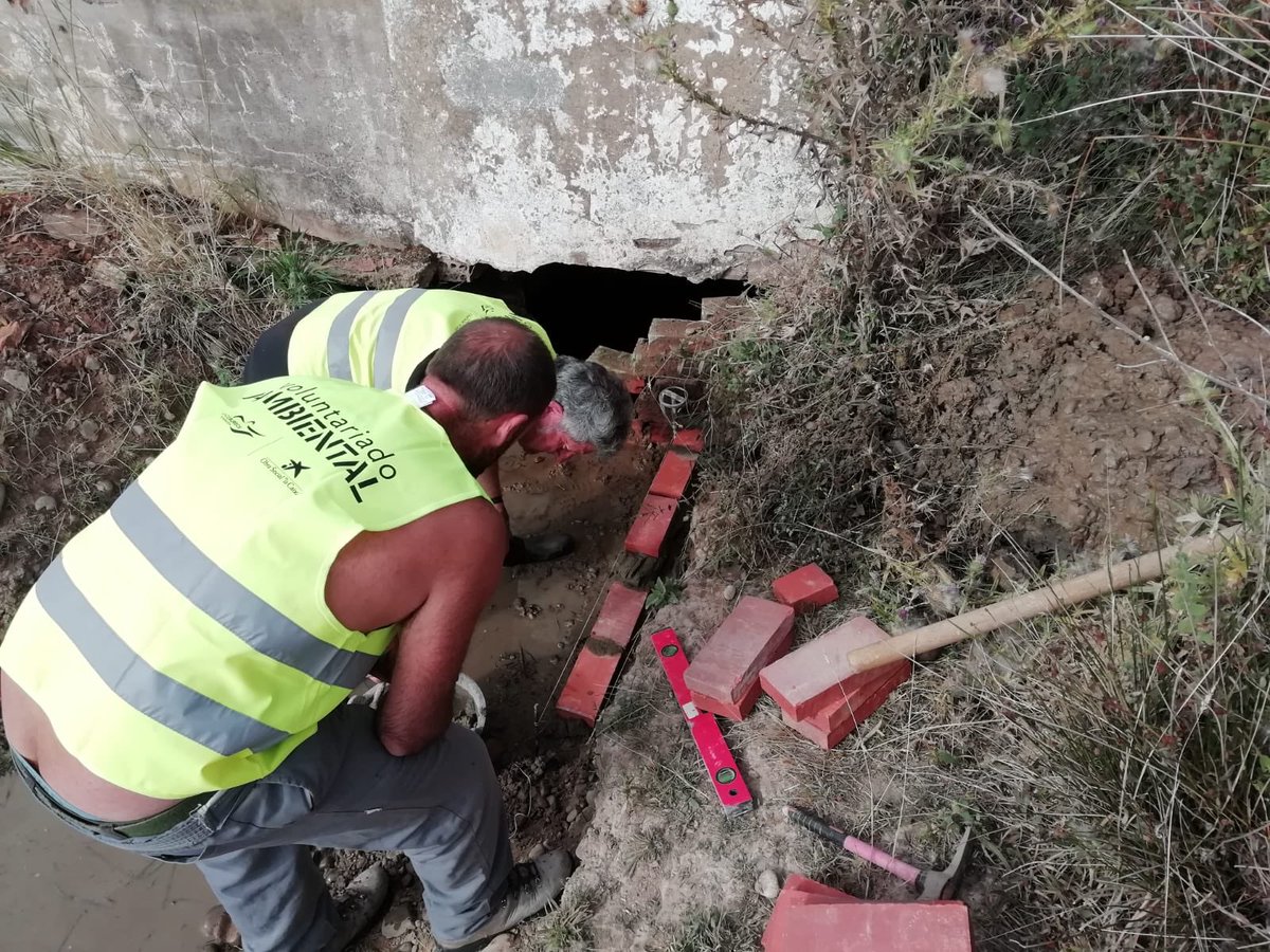Aula Medio Ambiente tweet media