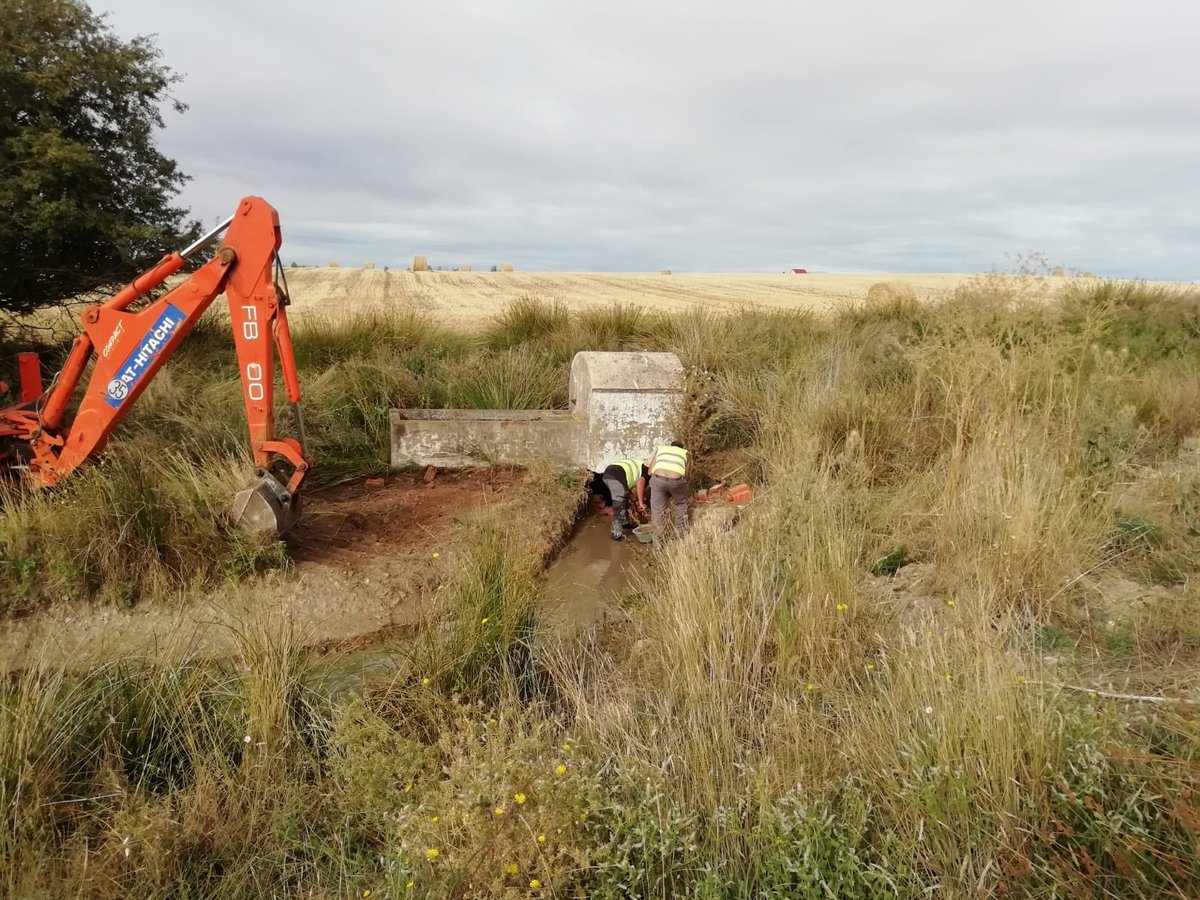 Aula Medio Ambiente tweet media