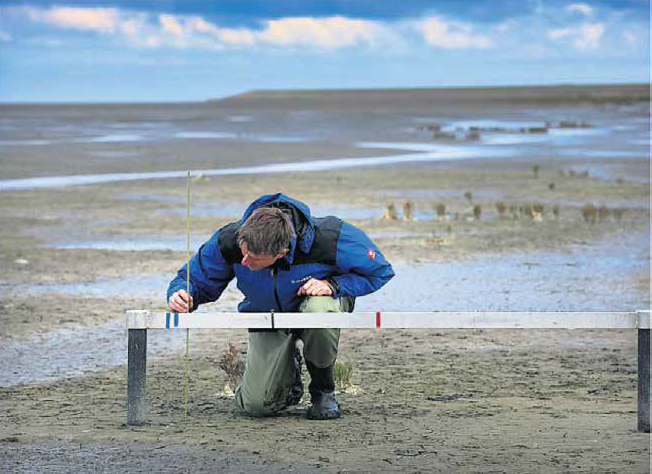 EcoShapeBwN's tweet photo. The latest Terra Aqua journal features our #MudMotor pilot, a beneficial use of dredged sediment to enhance salt marsh development, written by @MartinBaptist and Erik van Eekelen see p28 https://t.co/A8CHATjtF2 #buildingwithnature #naturebasedsolutions @luca_sittoni @IADCDredging https://t.co/n4xrntwSo6