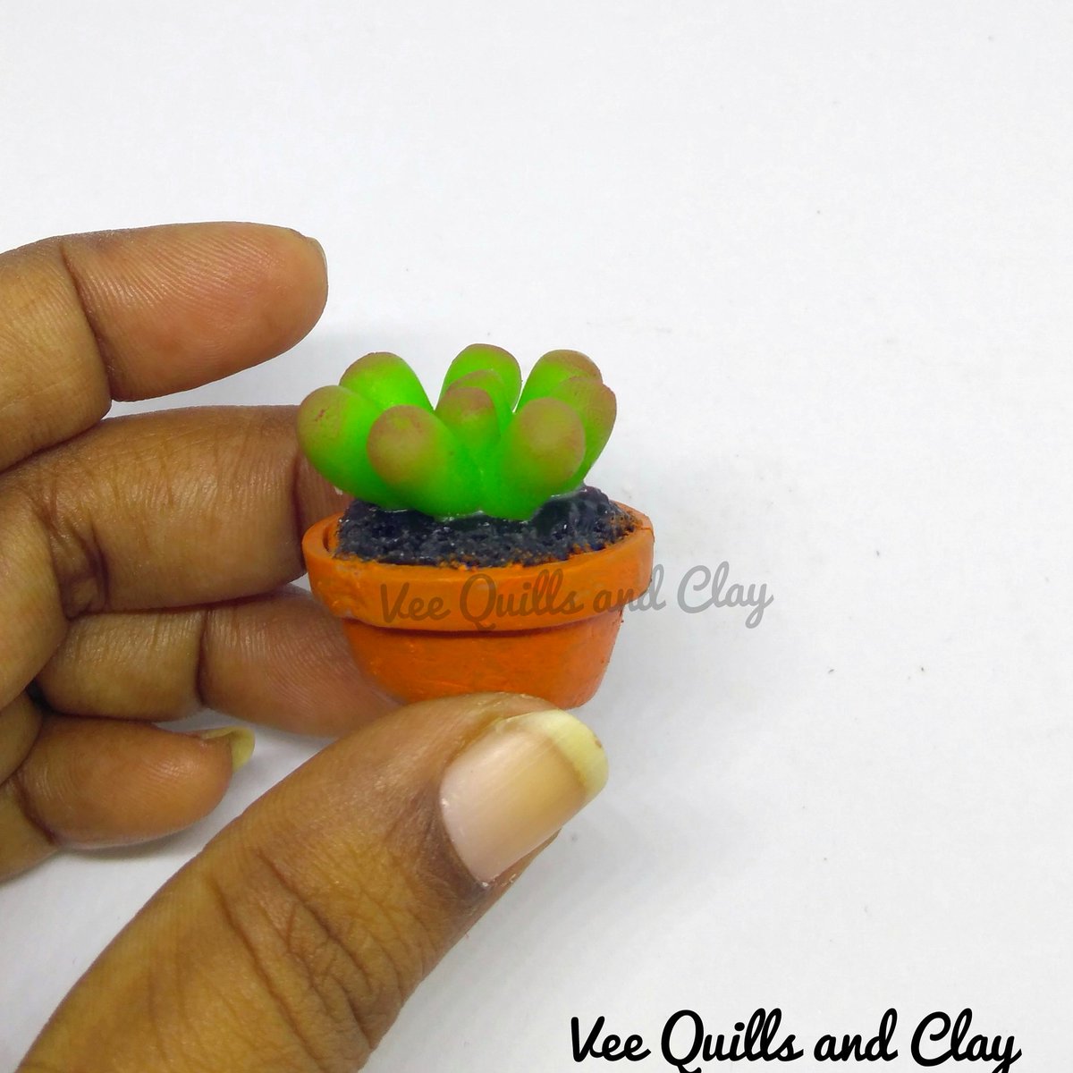 QuillsandVee's tweet image. A challenge in instagram to create anything in an inch size all this month.
#aninchaugust #aninchaugust2019
#succulents #miniatures
