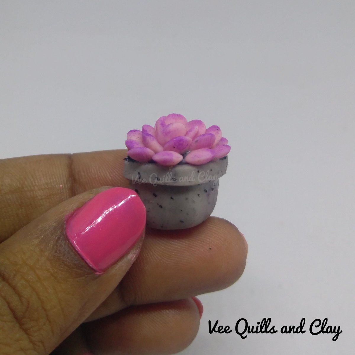 QuillsandVee's tweet image. A challenge in instagram to create anything in an inch size all this month.
#aninchaugust #aninchaugust2019
#succulents #miniatures