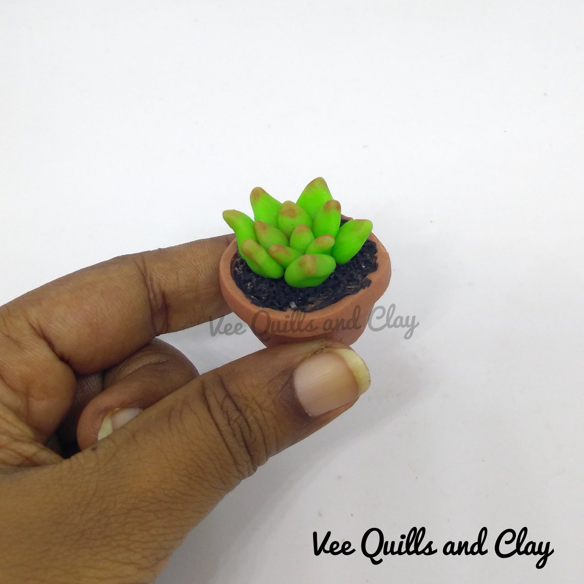 QuillsandVee's tweet image. A challenge in instagram to create anything in an inch size all this month.
#aninchaugust #aninchaugust2019
#succulents #miniatures