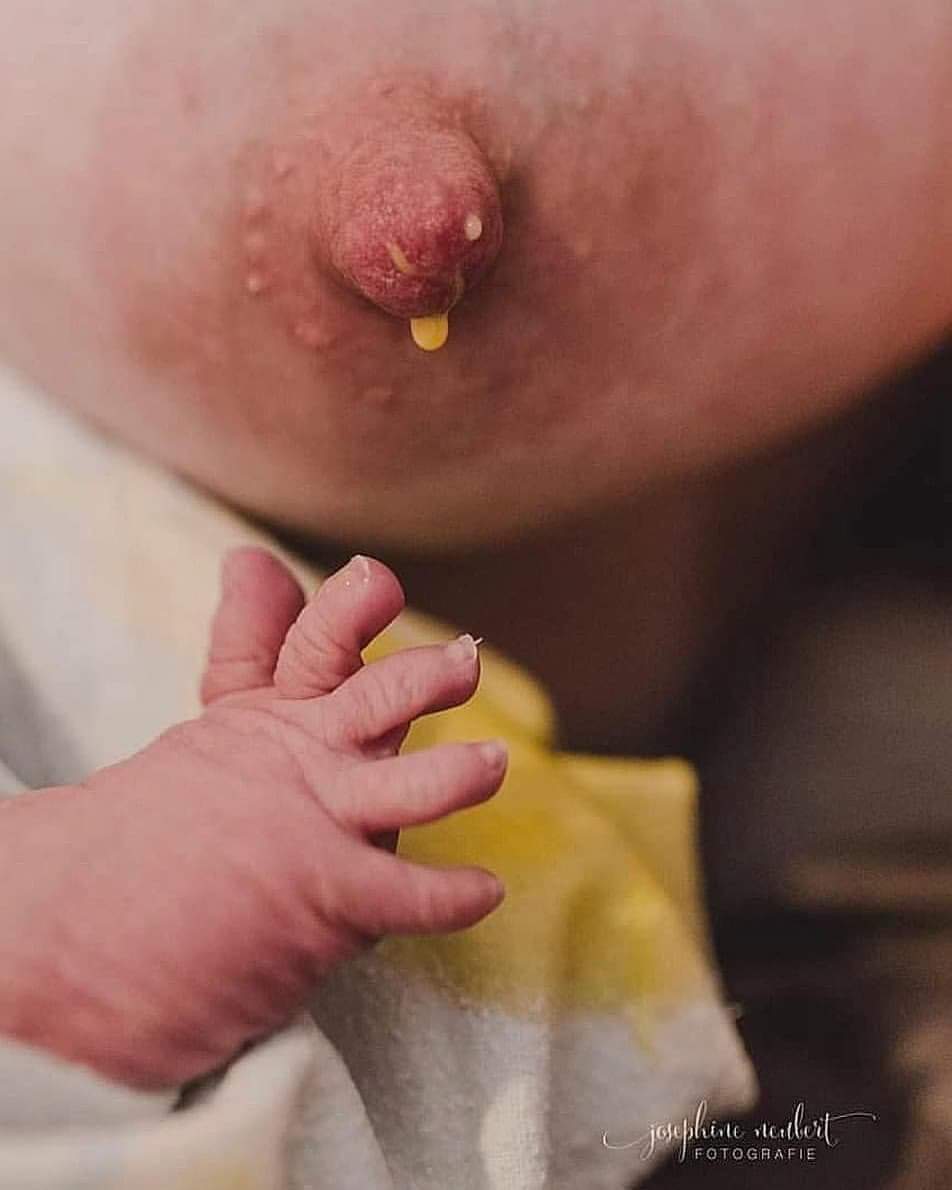 Amamanta_'s tweet photo. El calostro está lleno de leucocitos, que tienen la capacidad de destruir bacterias y virus.
Es un fluido que está vivo y es similar a la sangre, puede construir, cambiar y preparar al bebé contra los gérmenes. https://t.co/sEXW0Gk3El