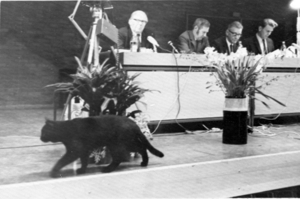 BroCentern's tweet photo. Idag, 8 Aug, är det Kattens Dag.

Under en politiskt debatt år 1970 mellan bland annat  Gunnar Sträng (s) &amp; Thorbjörn Fälldin (c) passerade en till synes helt oberörd svart katt över scenen.

Vad katten i fråga ansåg om den aktuella finanspolitiken förtäljer dock inte historien. https://t.co/K6Nn6kd98P
