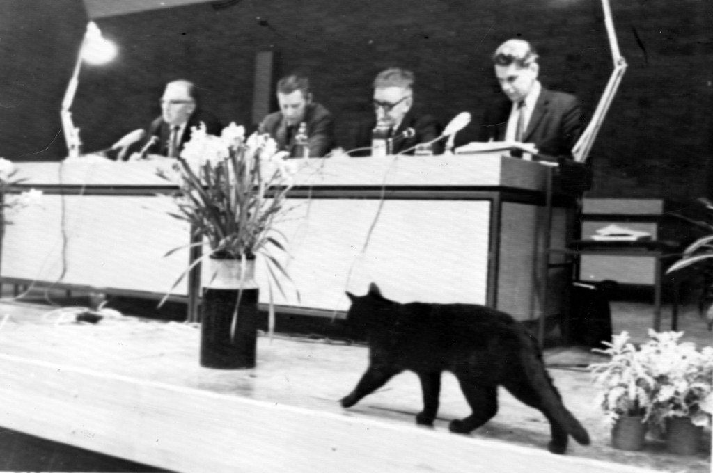 BroCentern's tweet photo. Idag, 8 Aug, är det Kattens Dag.

Under en politiskt debatt år 1970 mellan bland annat  Gunnar Sträng (s) &amp; Thorbjörn Fälldin (c) passerade en till synes helt oberörd svart katt över scenen.

Vad katten i fråga ansåg om den aktuella finanspolitiken förtäljer dock inte historien. https://t.co/K6Nn6kd98P