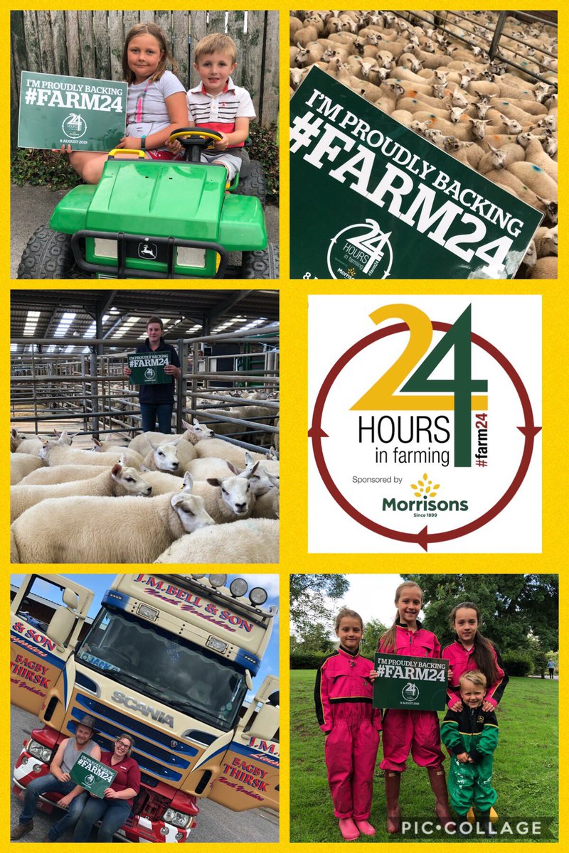 Kelly Armitage tweet media