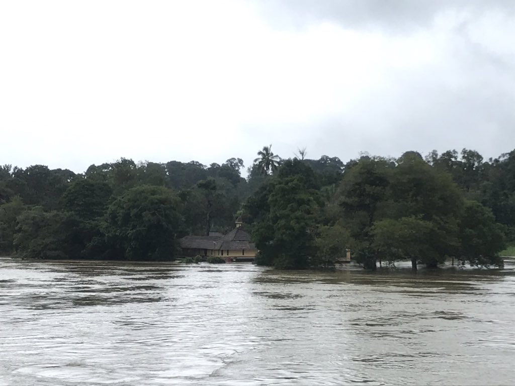 prajna_gr's tweet photo. River Cauvery, flows as ‘gupthagamini’ from Bhagamandala and shows herself at #Balamuri #Kodagu https://t.co/fAdx8iOmg5