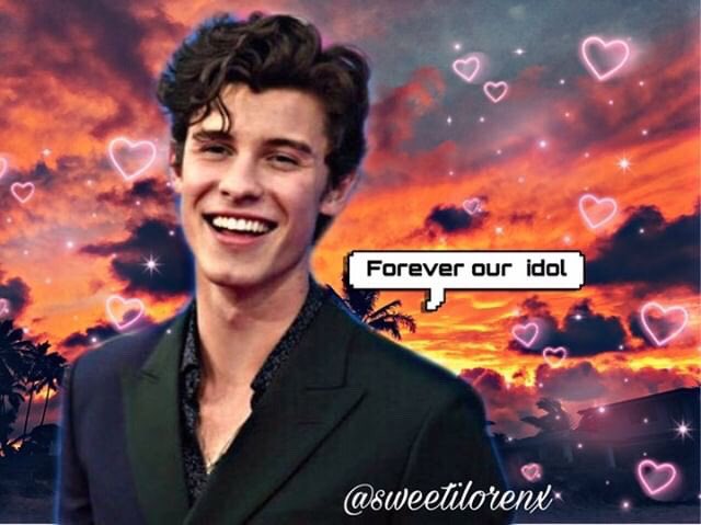 Happy birthday Shawn Mendes I love you you make us happy you re music is awesome 