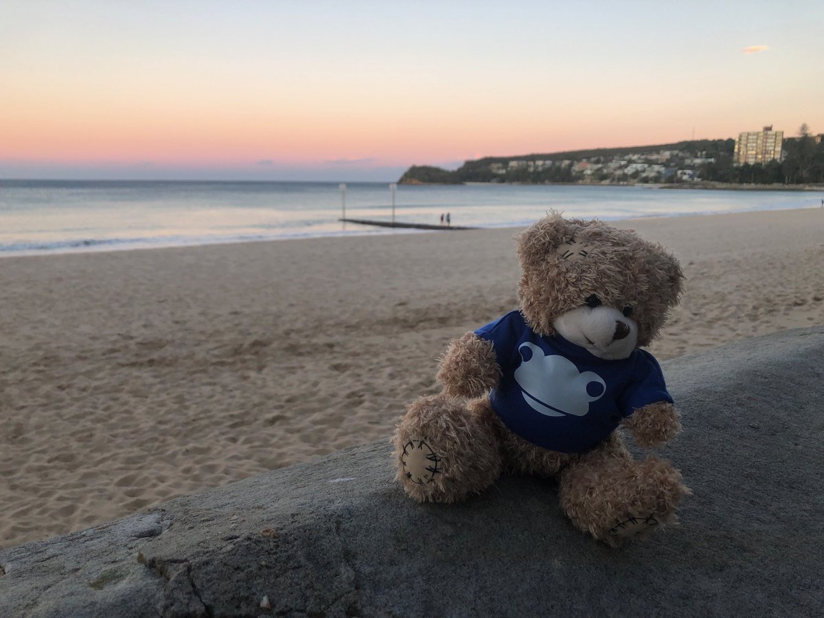 grahamquince's tweet photo. Made it back to Manly in time for a wonderful last walk at sunset. Thank you @MedowieCS @AnglicanSchools and @kinrosswolaroi for your hospitality. @FrogEducation #widgetontour (and thank you James Brett and Heike of Civica) https://t.co/9gLzKjvfQP